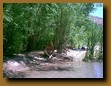 -Click image for full size view-