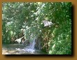 -Click image for full size view-
