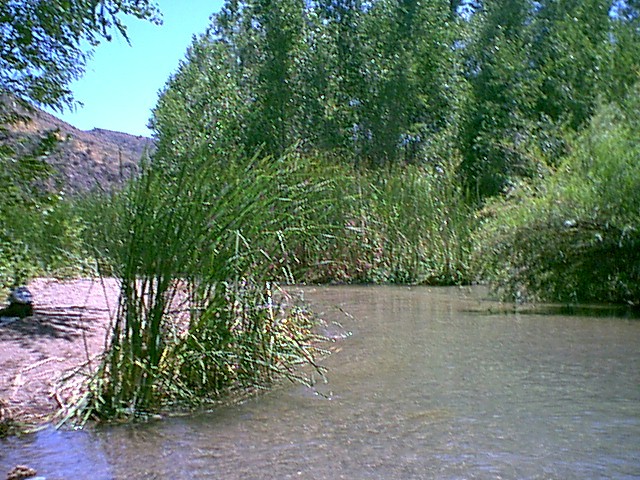 Image - waterfalls010.jpg