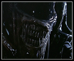 Listen to me bitch about inane and irrelevent things!