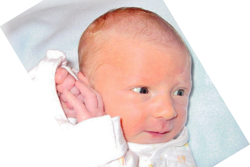 Feb. 2006
