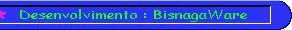 Desenvolvimento BisnagaWare
