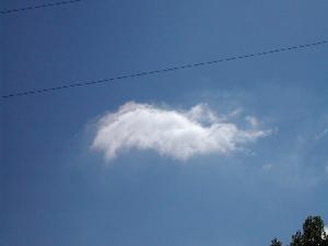 Such a happy little cloud.  Wish I could've captured it without the phone line.  I was in my car at a stop light...