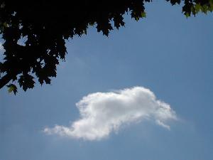 nice composition with the tree I think