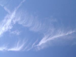 such a thin and wispy structure!