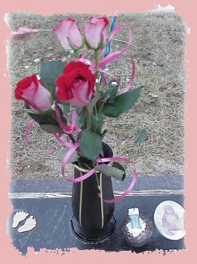 Abigail's Birthday Roses