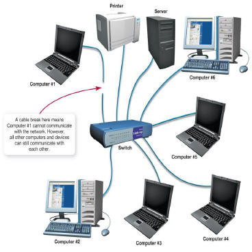 Network Topology