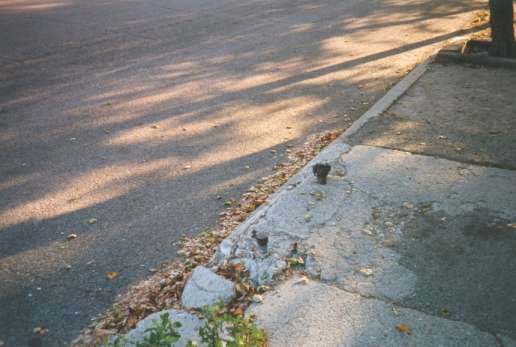 Curbside pump pipes