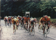 Vuelta Cicl�stica Internacional a Cojedes