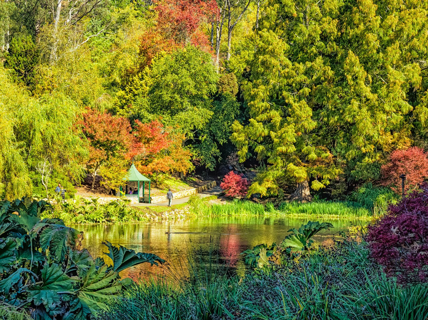 Botanical Gardens Flora  