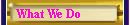 what we do page