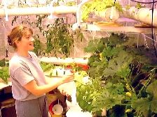 Helen Watering the plants