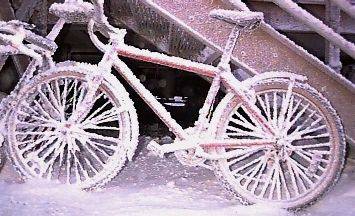 Push bike