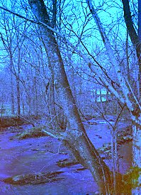 Limestone Creek, East Tennessee