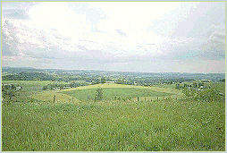 pasture