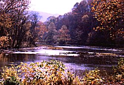 Holston River, photo by Charles Dyer, Kingsport TN