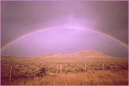Rainbow, Vera Jones