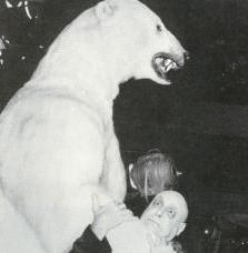 Fester and the Polar Bear