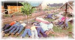 Followers of Jim Jones lay dead together, after committing ritual suicide