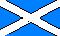 Participating Teams : Scotland