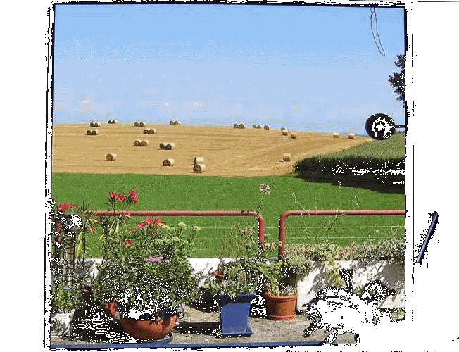 August 2005 - Summer greetings from home