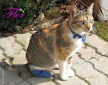 Flor, our little flower girl from Venezuela