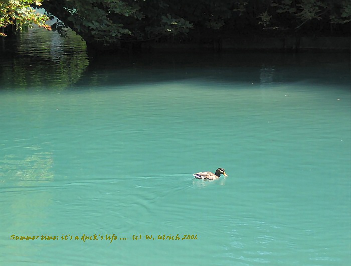 Summer time-out: simplicity may be the secret