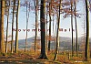 November-December 2007 - November walk