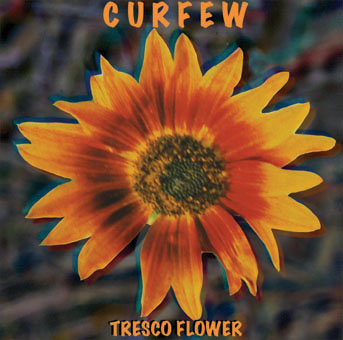 Curfew Tresco Flower