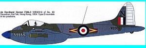hornet1s.jpg (10206 bytes)