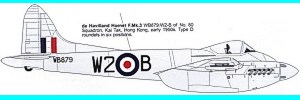 hornet2s.jpg (9667 bytes)