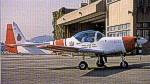 firflys.jpg (7717 bytes)