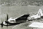 hornet1s.jpg (8873 bytes)