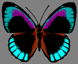 butterfly one