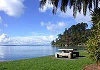 company logo or picture