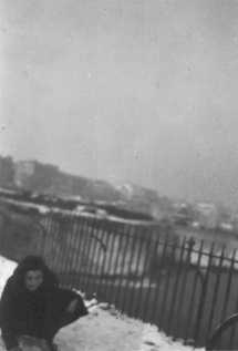 Bst06_050.jpg (22442 bytes)