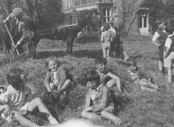 Den15_050.jpg (21735 bytes)