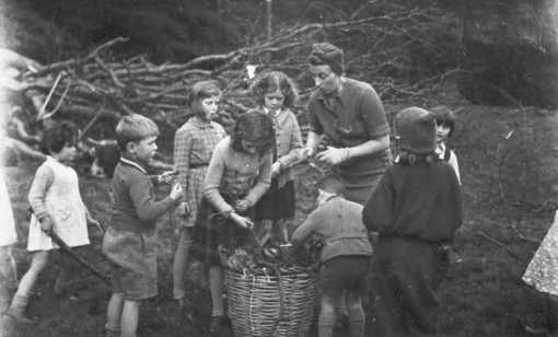 Den24_050.jpg (25525 bytes)