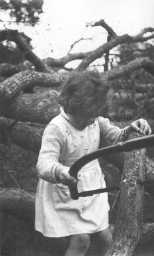 Den25_025.jpg (26047 bytes)