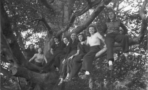 Edm10_050.jpg (28592 bytes)