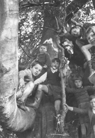 Edm11_050.jpg (36708 bytes)