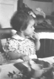 Lixi05_100.jpg (23390 bytes)