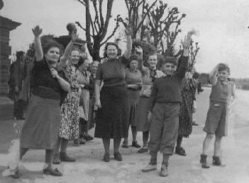 Sch_Mont03.jpg (18147 bytes)