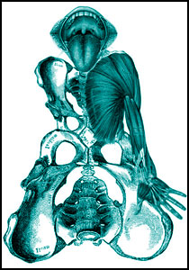 itinerariO "cOllageZ"