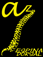 para .gi.pi. dandO la vuelta a la india cOn Z