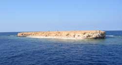 Little Brother Island