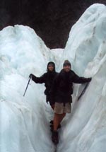 Go to West coast and glacier photos