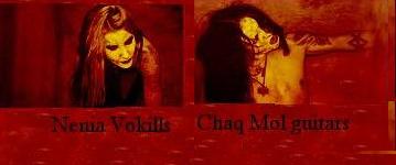 Nenia Vokills Chaq Mol Guitars