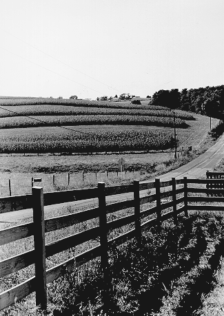 Dave H. Kim's Homepage