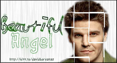 Beautiful Angel : David Boreanaz
